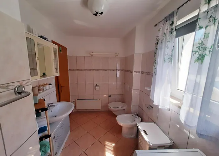 Solis * Sveti Vid-Miholjice